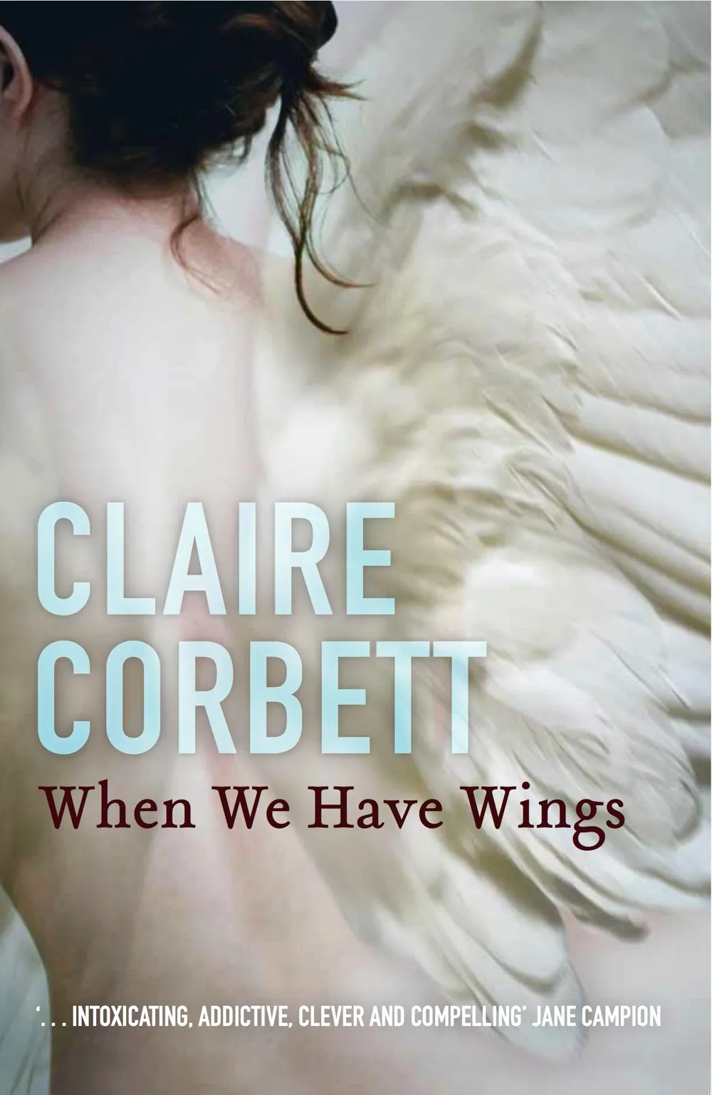 Book cover: When We Have Wings by Claire Corbett